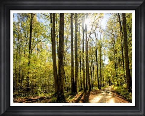 Framed Fresh New Morning Print