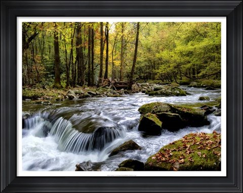 Framed Over Flow I Print