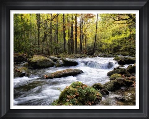 Framed Over Flow II Print