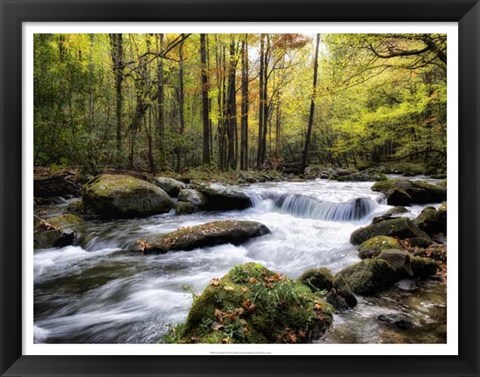 Framed Over Flow II Print