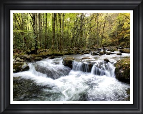 Framed Waterslide Print