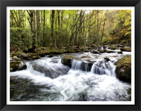 Framed Waterslide Print