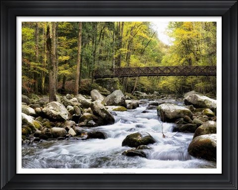 Framed Bridging the Seasons Print