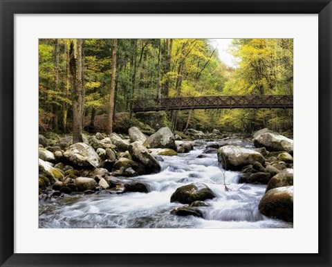 Framed Bridging the Seasons Print