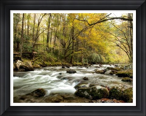 Framed Creekside Print