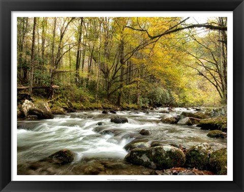 Framed Creekside Print