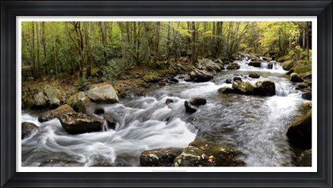Framed Up the Creek Panorama Print