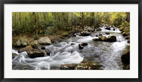 Framed Up the Creek Panorama Print