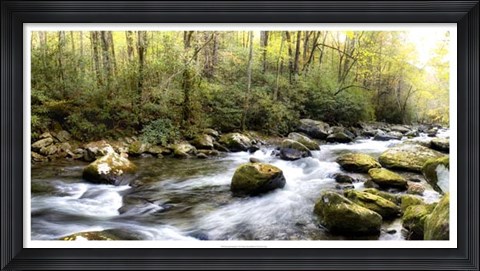 Framed Riverside Panorama Print