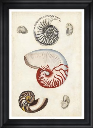 Framed Seashore Field Notes I Print