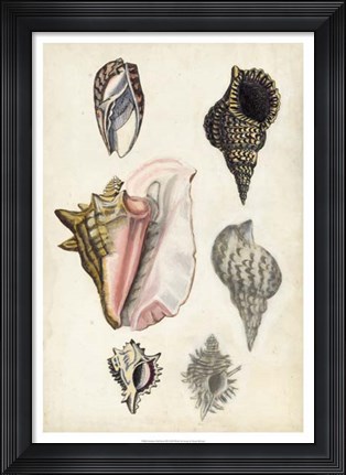 Framed Seashore Field Notes III Print