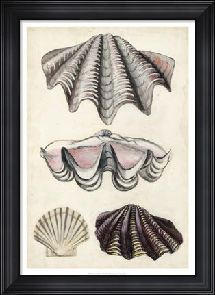 Framed Seashore Field Notes IV Print