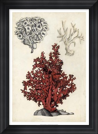 Framed Seashore Field Notes V Print