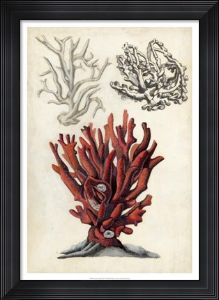 Framed Seashore Field Notes VI Print