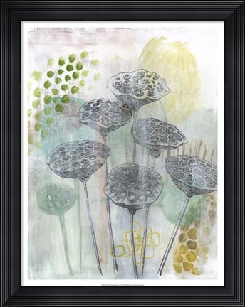 Framed Seed Pod Composition I Print