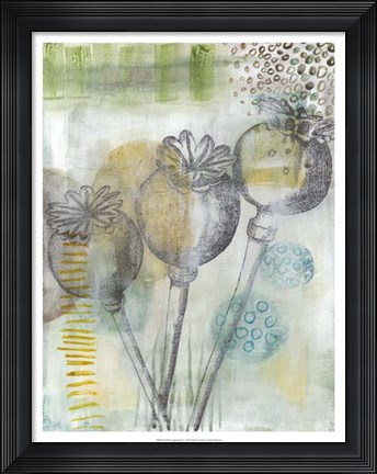 Framed Seed Pod Composition II Print