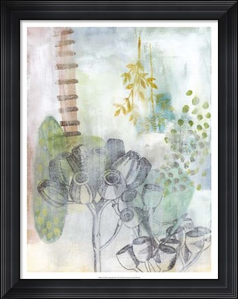Framed Seed Pod Composition III Print