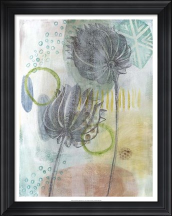 Framed Seed Pod Composition IV Print