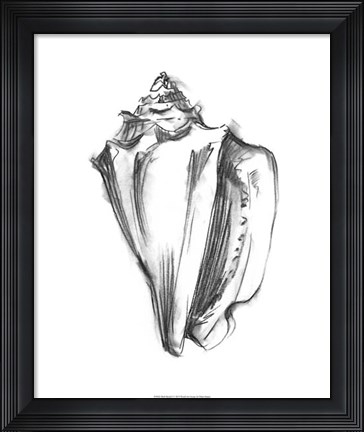 Framed Shell Sketch I Print