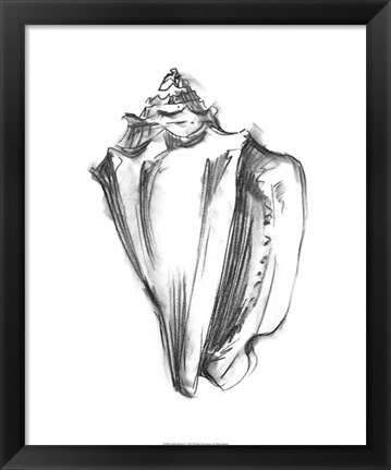 Framed Shell Sketch I Print