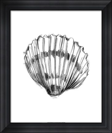 Framed Shell Sketch VI Print