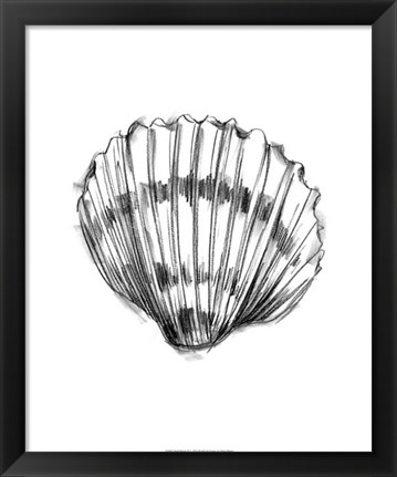 Framed Shell Sketch VI Print