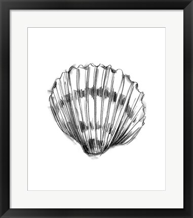 Framed Shell Sketch VI Print