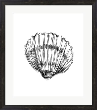 Framed Shell Sketch VI Print