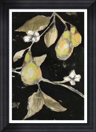 Framed Fresh Pears II Print