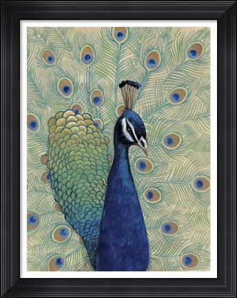 Framed Blue Peacock I Print
