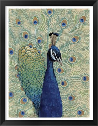 Framed Blue Peacock I Print