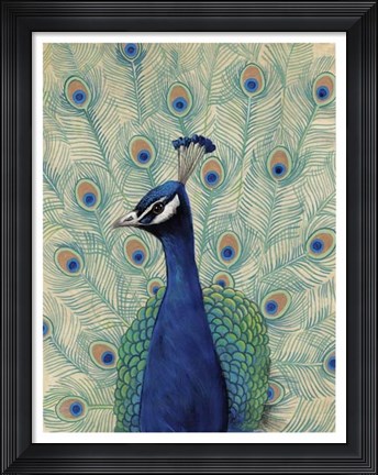 Framed Blue Peacock II Print