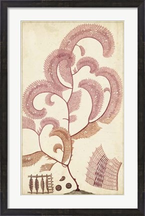 Framed Turpin Seaweed III Print