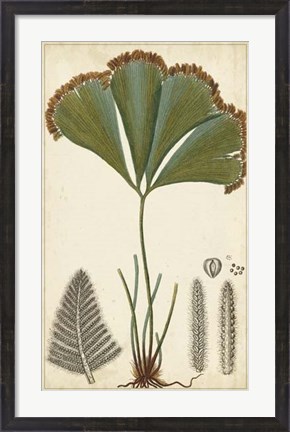 Framed Foliage Botanique I Print