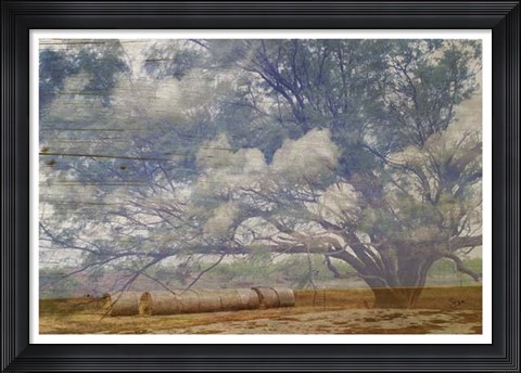 Framed Texas Tree Collage Print