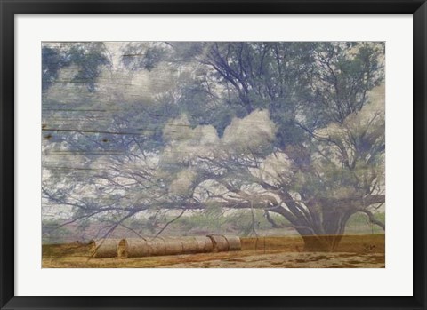 Framed Texas Tree Collage Print