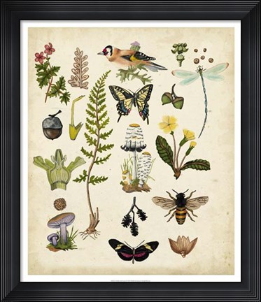 Framed Walk in the Forest I Print