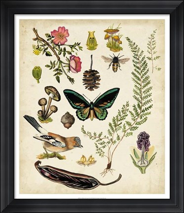 Framed Walk in the Forest II Print