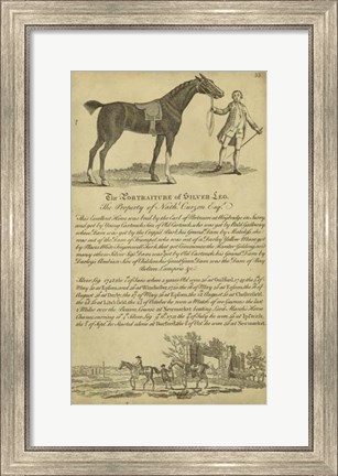 Framed Horse Portraiture I Print