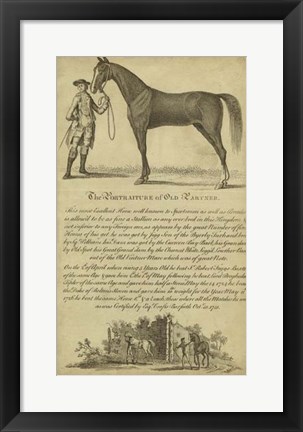 Framed Horse Portraiture II Print