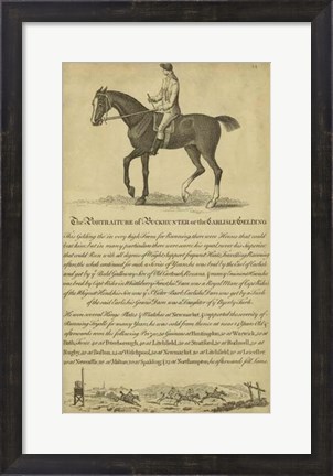 Framed Horse Portraiture IV Print