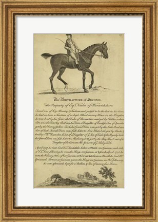 Framed Horse Portraiture V Print