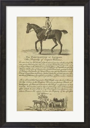 Framed Horse Portraiture VI Print