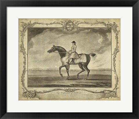 Framed Distinguished Horses II Print