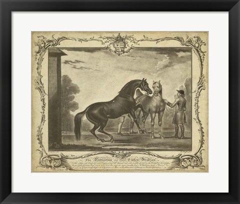 Framed Distinguished Horses III Print