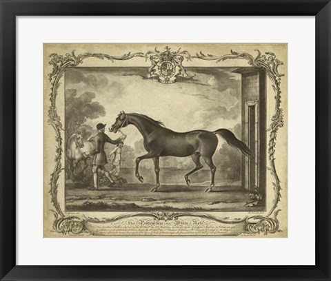 Framed Distinguished Horses IV Print