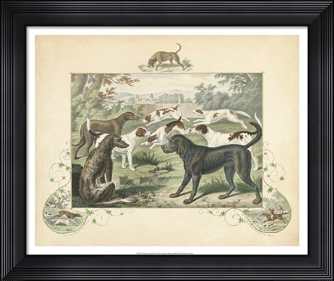 Framed Group of Hounds Print