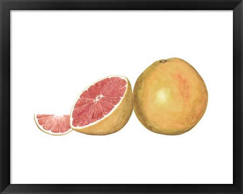 Framed Watercolor Grapefruit Print