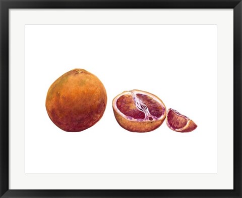 Framed Watercolor Blood Orange Print