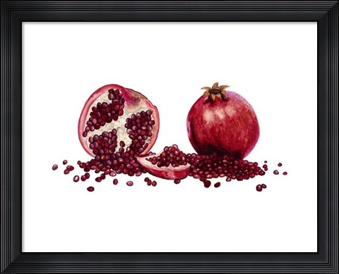 Framed Watercolor Pomegranate Print
